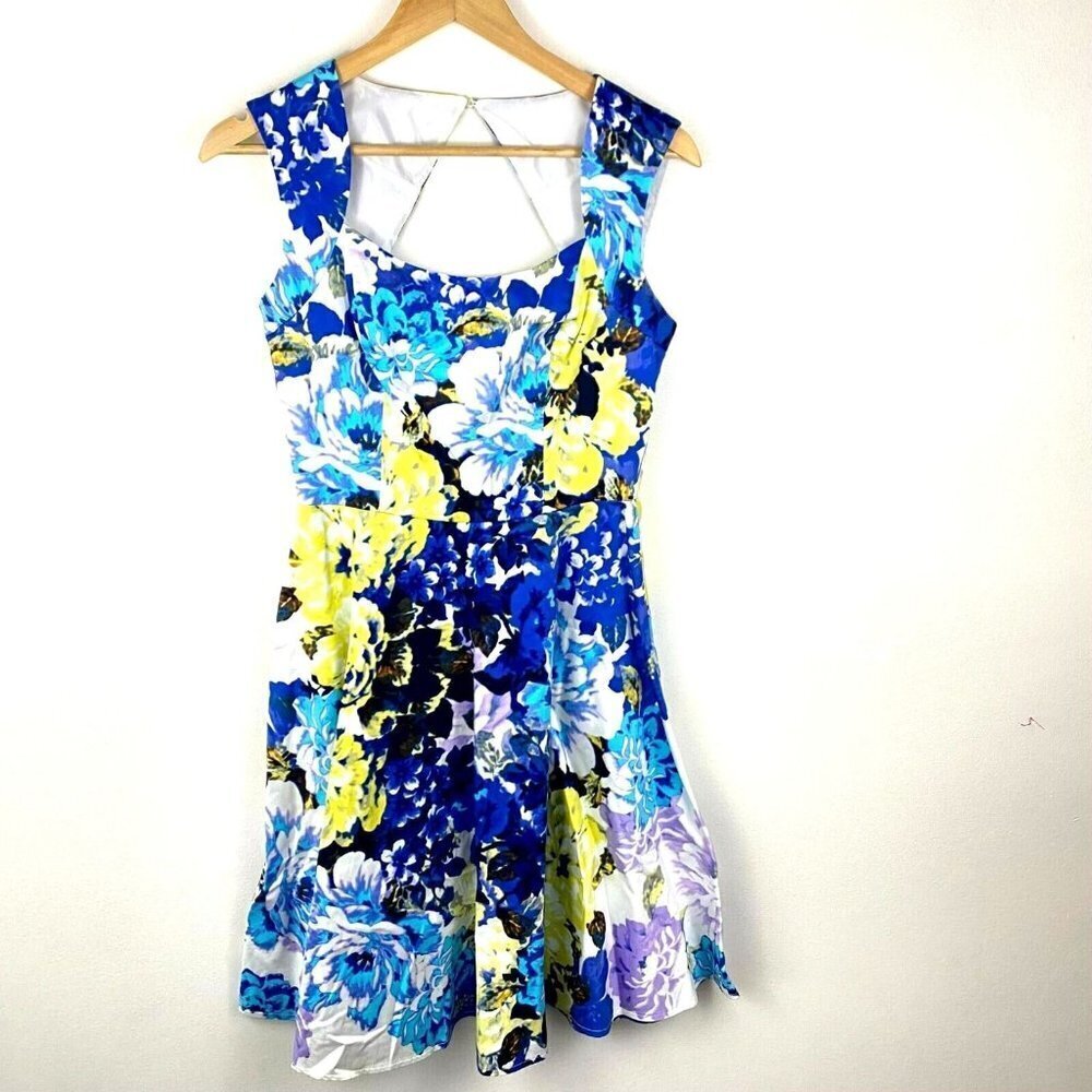 New York & Company A-Line Dress Womens Sz 2 Spring Blue Lined Floral Sleeveless